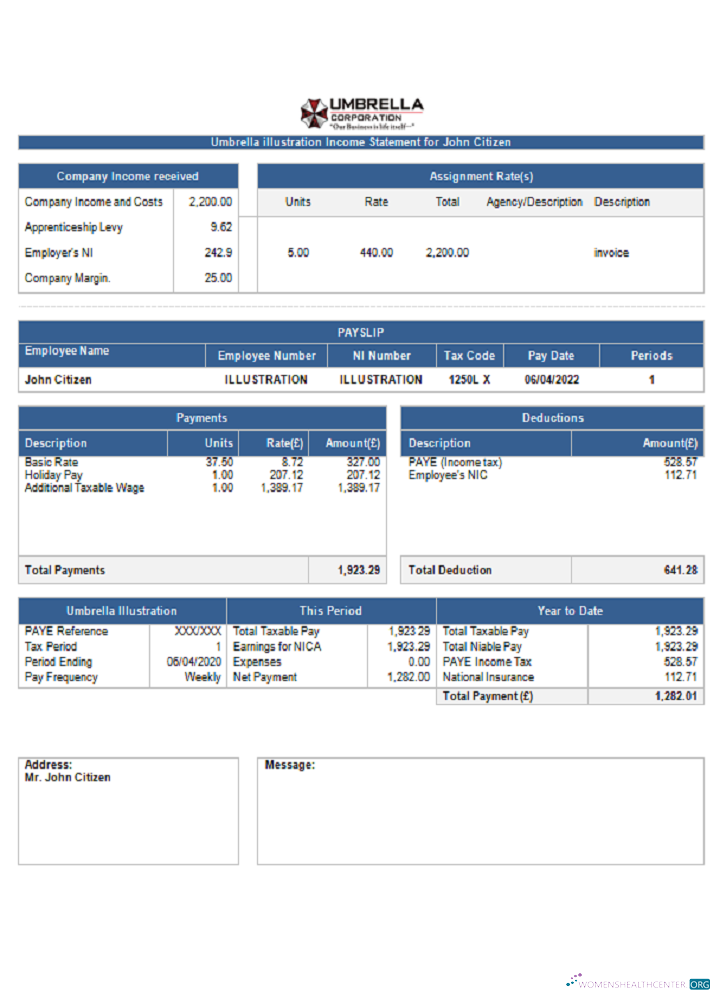 Download USA Umbrella pharmaceutical company pay stub Photoshop template